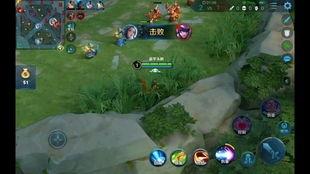 王者小菜鸡爆料视频下载,揭秘游戏幕后秘密与精彩瞬间